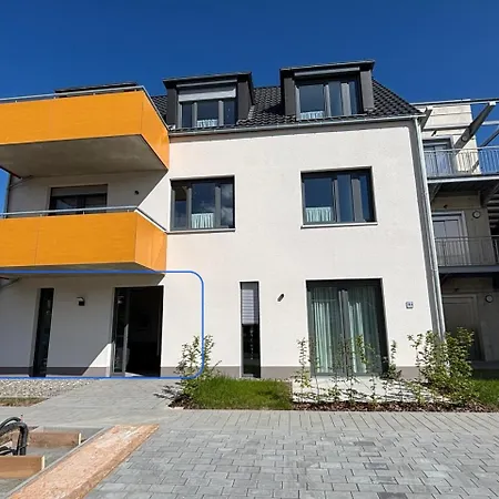 Sonnenblume Spangenberg