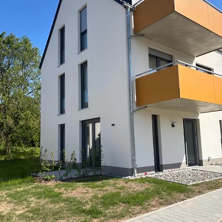 Sonnenblume * Spangenberg