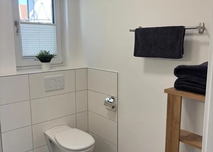 Sonnenblume Spangenberg