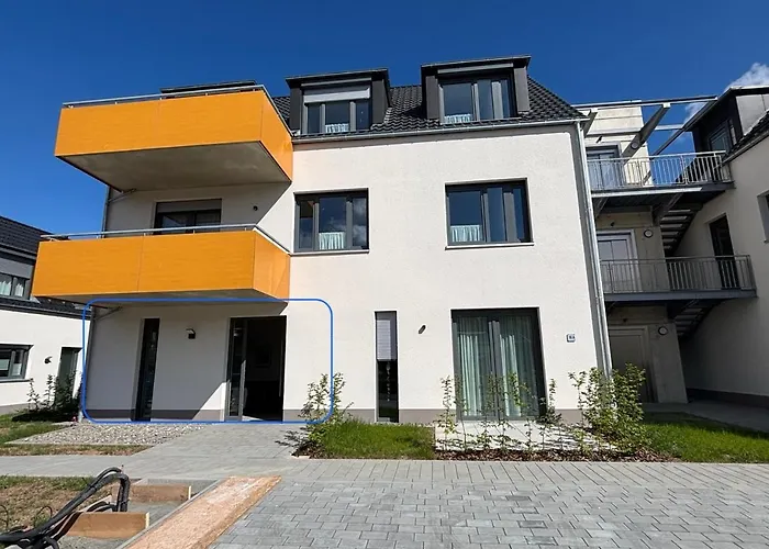 Sonnenblume Spangenberg